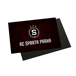 Magnet Sparta logo