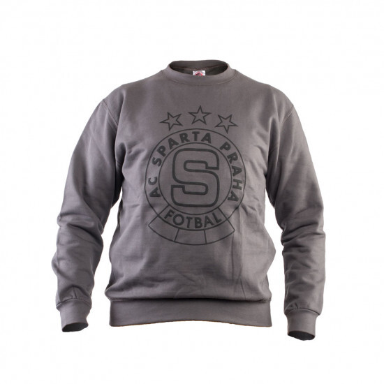 Hoodie ACS 3D logo grey:M